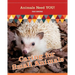 Caring for Small Animals