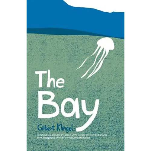 The Bay