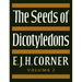 The Seeds of Dicotyledons