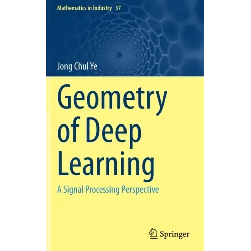 Geometry of Deep Learning: A Signal Processing Perspective