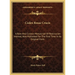 Codex Rosae Crucis: A Rare And Curious Manuscript Of Rosicrucian Interest, Now Published For The First Time In Its Original Form