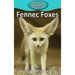 Fennec Foxes