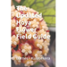 The Updated Hoya Flower Field Guide