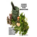 Using Herbs For Medicine: Easy To follow Directions On How To Use Herbs For Medicine