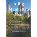 A Big Manhattan Year: Tales of Competitive Birding