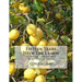 Fifteen Years With The Lemon: Growing Lemons and Other Citrus Fruits