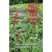 West Along the River 2: Stories from the Connecticut River Valley and Elsewhere