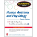 Schaum's Outline of Human Anatomy and Physiology: 1,440 Solved Problems + 20 Videos