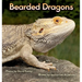 Bearded Dragons