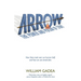 Arrow: The Power and Poison of Story