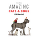 Amazing Cats and Dogs for Framing: Amazing pet photos, funny dogs and cats to frame