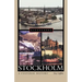 Stockholm: A Cultural History