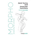 Morpho: Joint Forms and Muscular Functions: Anatomy for Artists