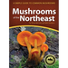 Mushrooms of the Northeast: A Simple Guide to Common Mushrooms