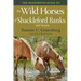 The Hoofprints Guide to the Wild Horses of Shackleford Banks and Vicinity