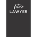 Future Lawyer