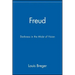 Freud: Darkness in the Midst of Vision