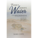 There's Always Water in the Wilderness: A Close Look at the Biblical Motifs of Wells and Wildernesses