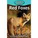 Red Foxes