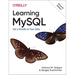 Learning MySQL: Get a Handle on Your Data