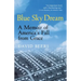 Blue Sky Dream: A Memoir of American (Ameri)Ca's Fall from Grace