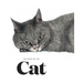 The Book of the Cat: Cats in Art