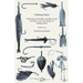 Fishing Rods - A Selection of Classic Articles on the Varieties, Use and Repair of Fishing Rods (Angling Series)
