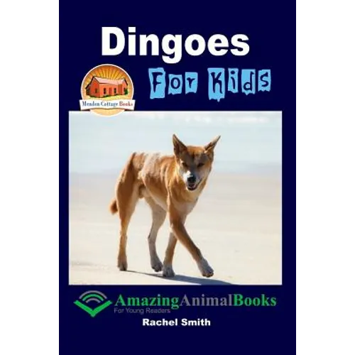 Dingoes For Kids