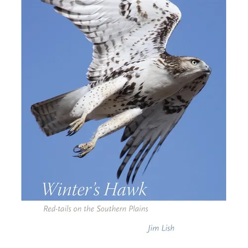 Winter's Hawk: Red-Tails on the Southern Plains