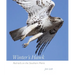 Winter's Hawk: Red-Tails on the Southern Plains
