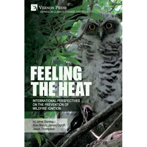 Feeling the heat: International perspectives on the prevention of wildfire ignition
