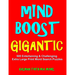 Mind Boost Gigantic: 500 Entertaining & Challenging Extra Large Print Word Search Puzzles
