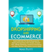 Dropshipping And Ecommerce: Build A $20,000 per Month Business by Making Money Online with Shopify, Amazon FBA, Affiliate Marketing, Facebook Advertis
