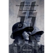 Voices of the Waffen SS - The Assault Generation: Volume 2
