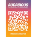 Audacious: How Humans Win in an AI Marketing World