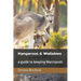 Kangaroos and Wallabies: a guide to keeping Macropods