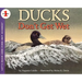 Ducks Don't Get Wet