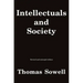 Intellectuals and Society