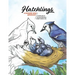 Hatchlings: A Coloring Book Anthology