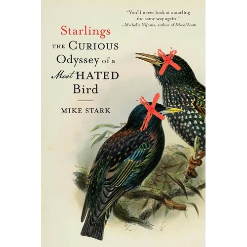 Starlings: The Curious Odyssey of a Most Hated Bird