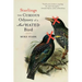 Starlings: The Curious Odyssey of a Most Hated Bird