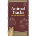 Animal Tracks of the Northeast: Your Way to Easily Identify Animal Tracks