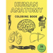 Human Anatomy Coloring Book: Informative Guide To The Human Body (internal organs the nervous system, reproductive systems and limbs) For Kids
