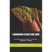Carnivorous Plants Care Guide: Essential notions for Dionaea - Sarracenia - Nepenthes - Drosera