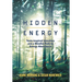 Hidden Energy: Tesla-inspired inventors and a mindful path to energy abundance