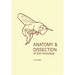 Anatomy and Dissection of the Honeybee