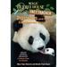 Pandas and Other Endangered Species: A Nonfiction Companion to Magic Tree House Merlin Mission #20: A Perfect Time for Pandas