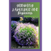 Growing Lavender for Beginners: Simple and Detailed Guide to Starting a Lavender Garden In small and Large Scale