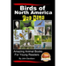 Birds of North America For Kids - Amazing Animal Books for Young Readers