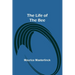 The Life of the Bee